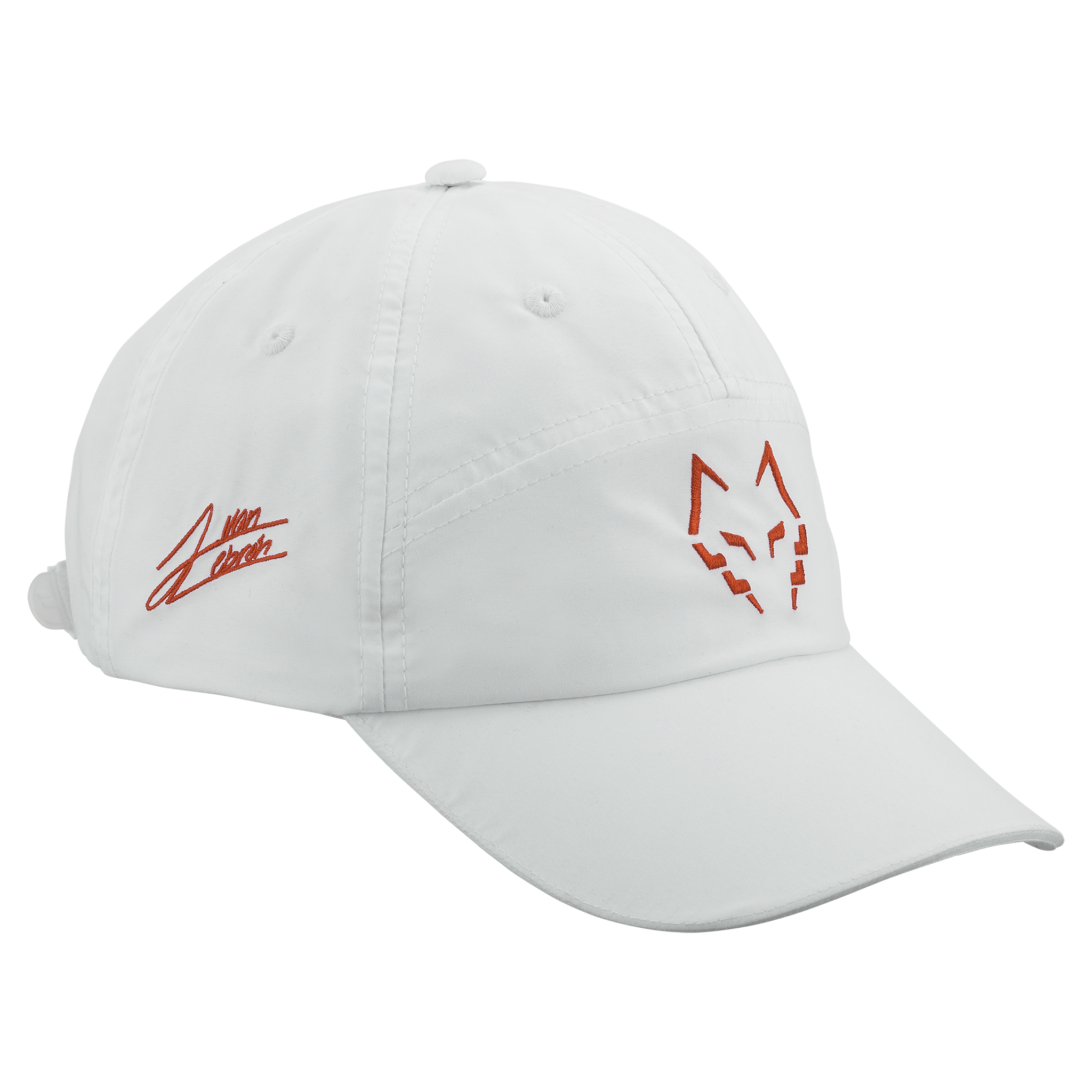 Babolat Performance Cap Lebron White
