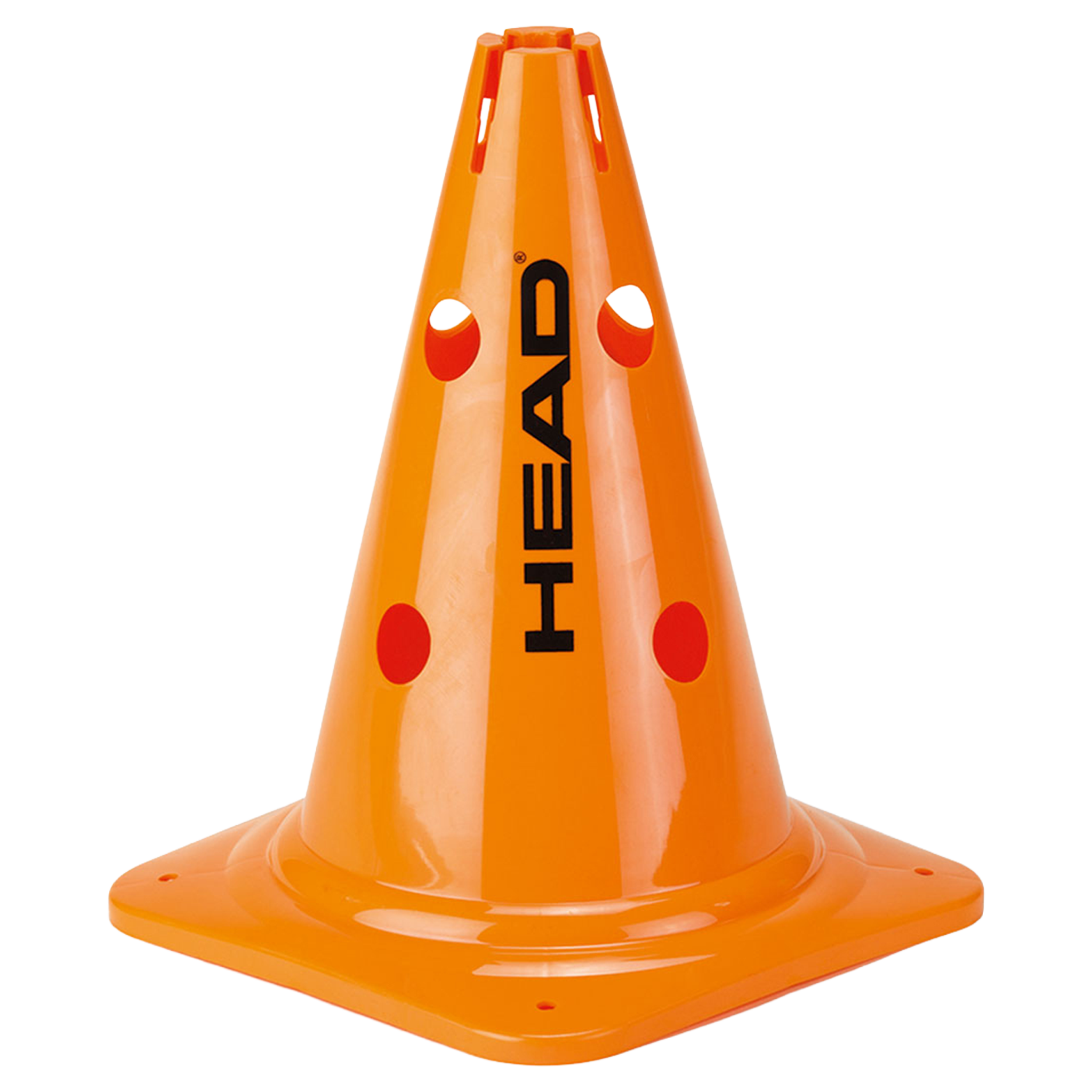 Head 6 Big Cones