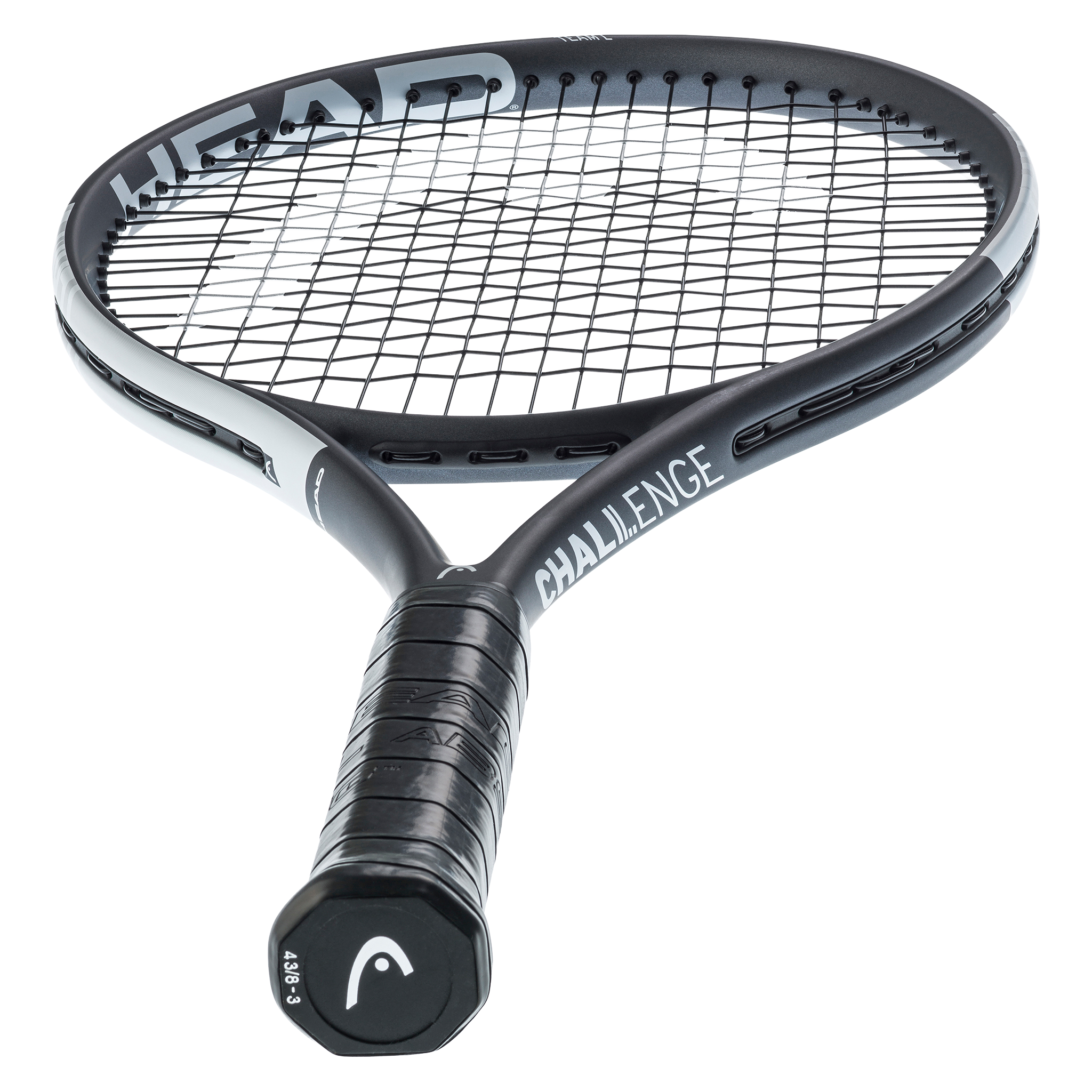 Head IG Challenge Team L (Stealth)