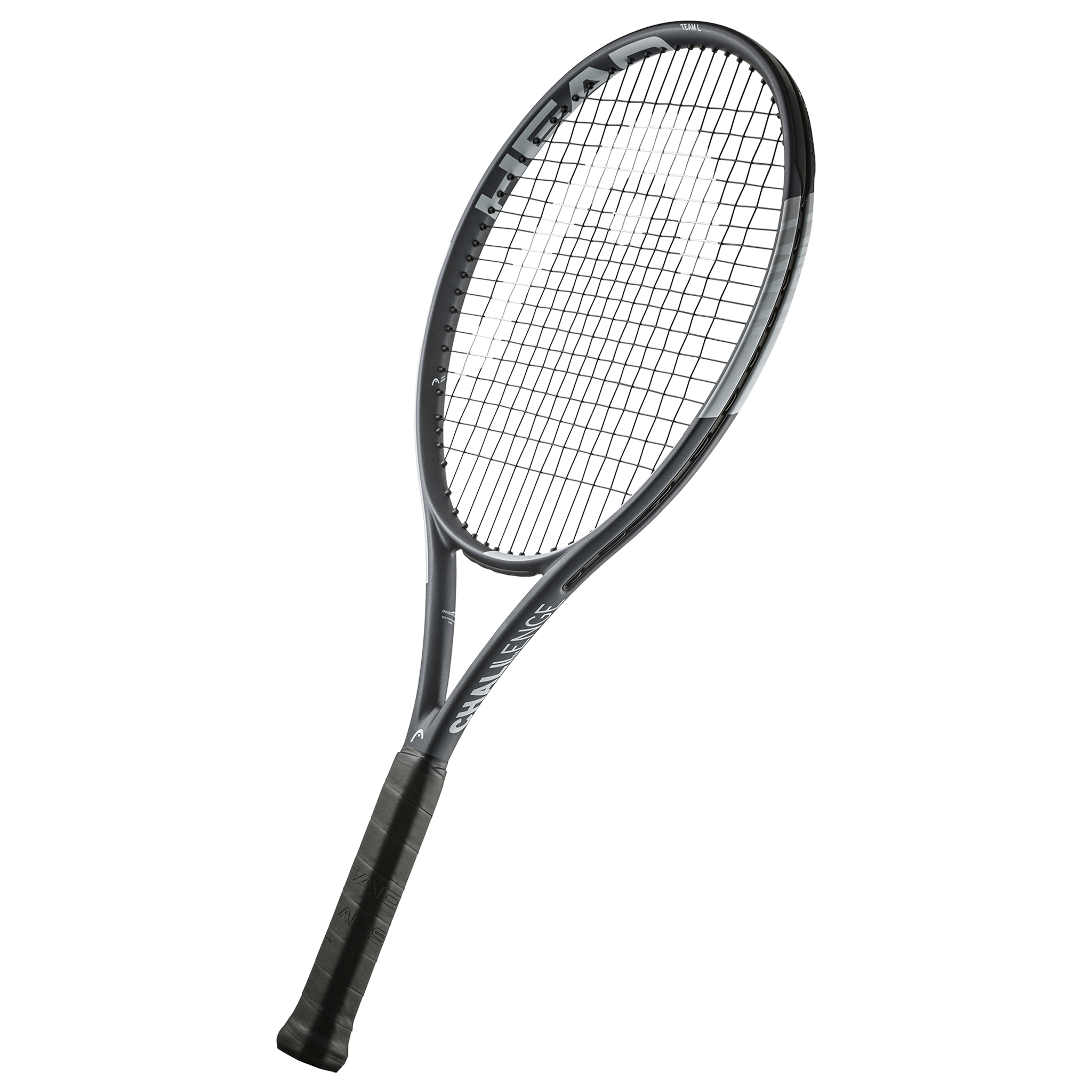 Head IG Challenge Team L (Stealth)