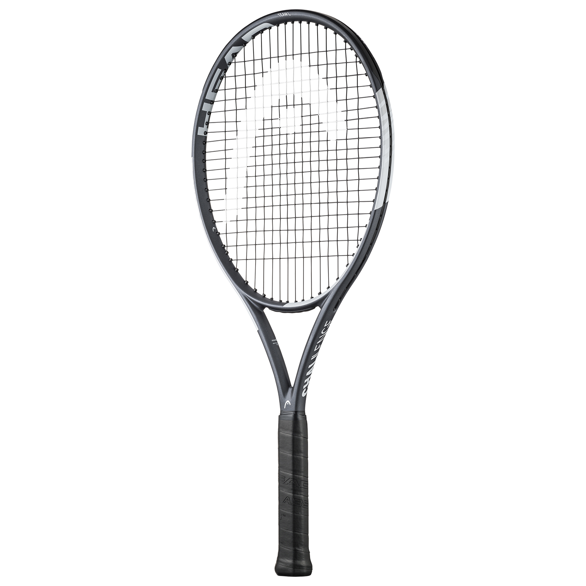 Head IG Challenge Team L (Stealth)