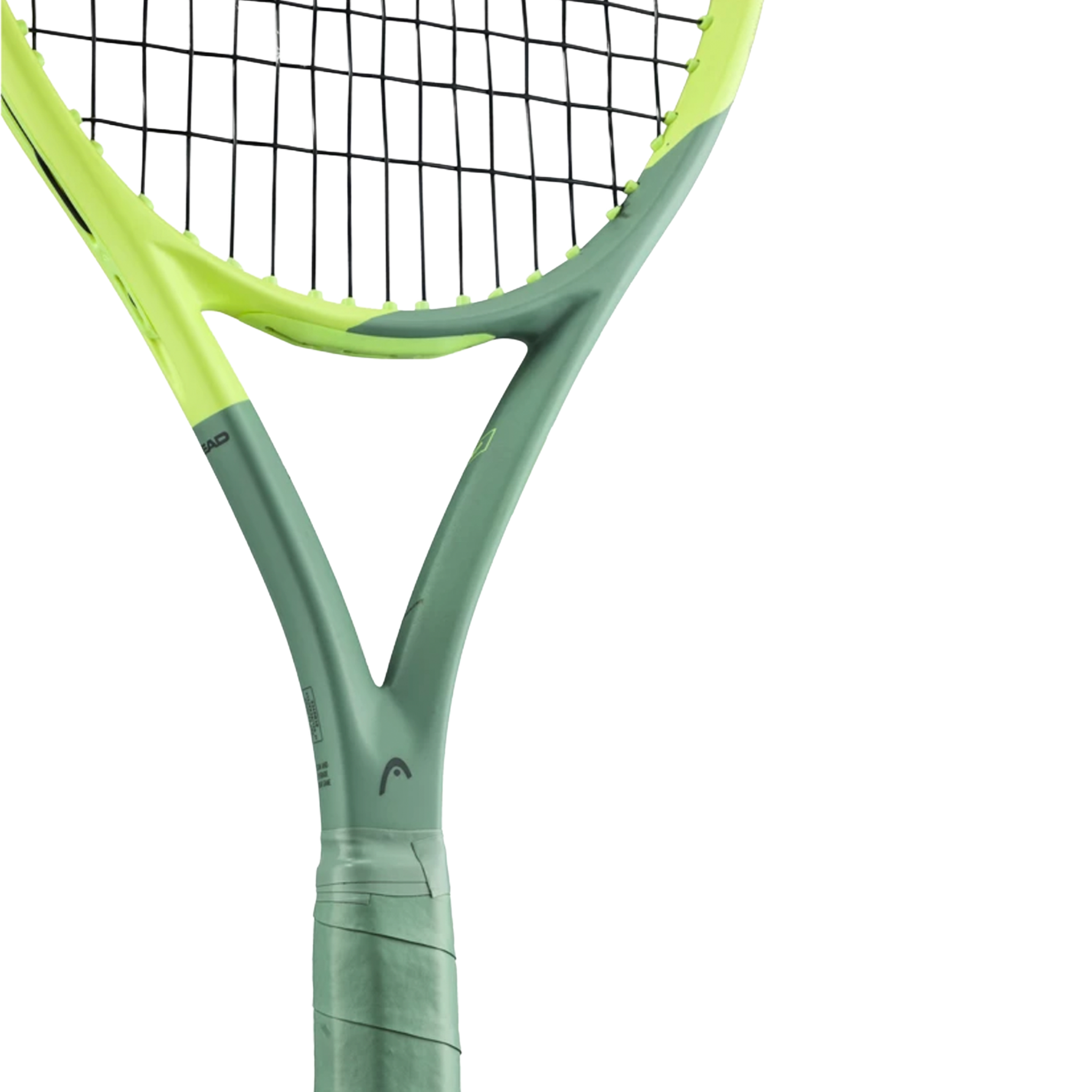Head Extreme MP (2022)