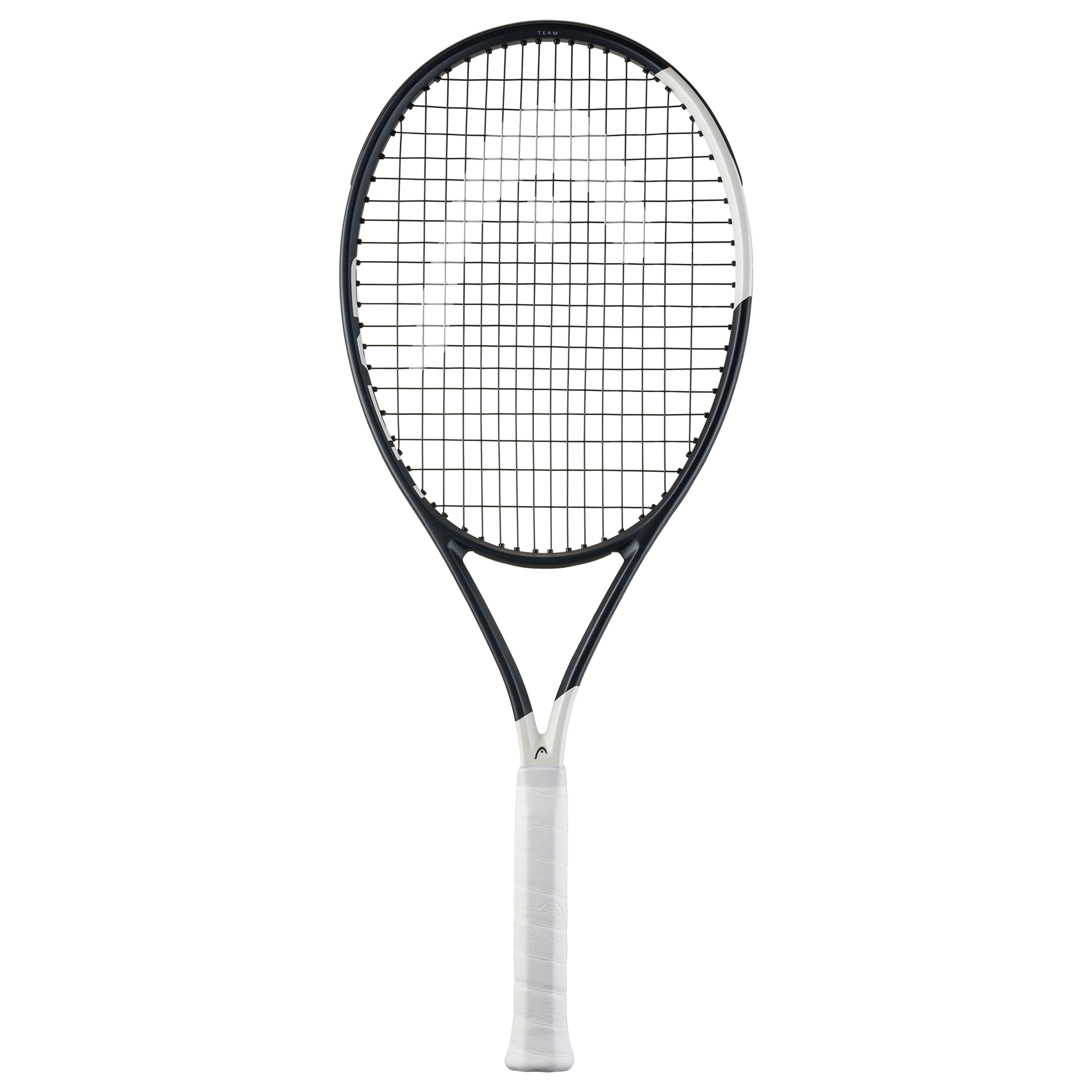 Head Speed Team (2026)