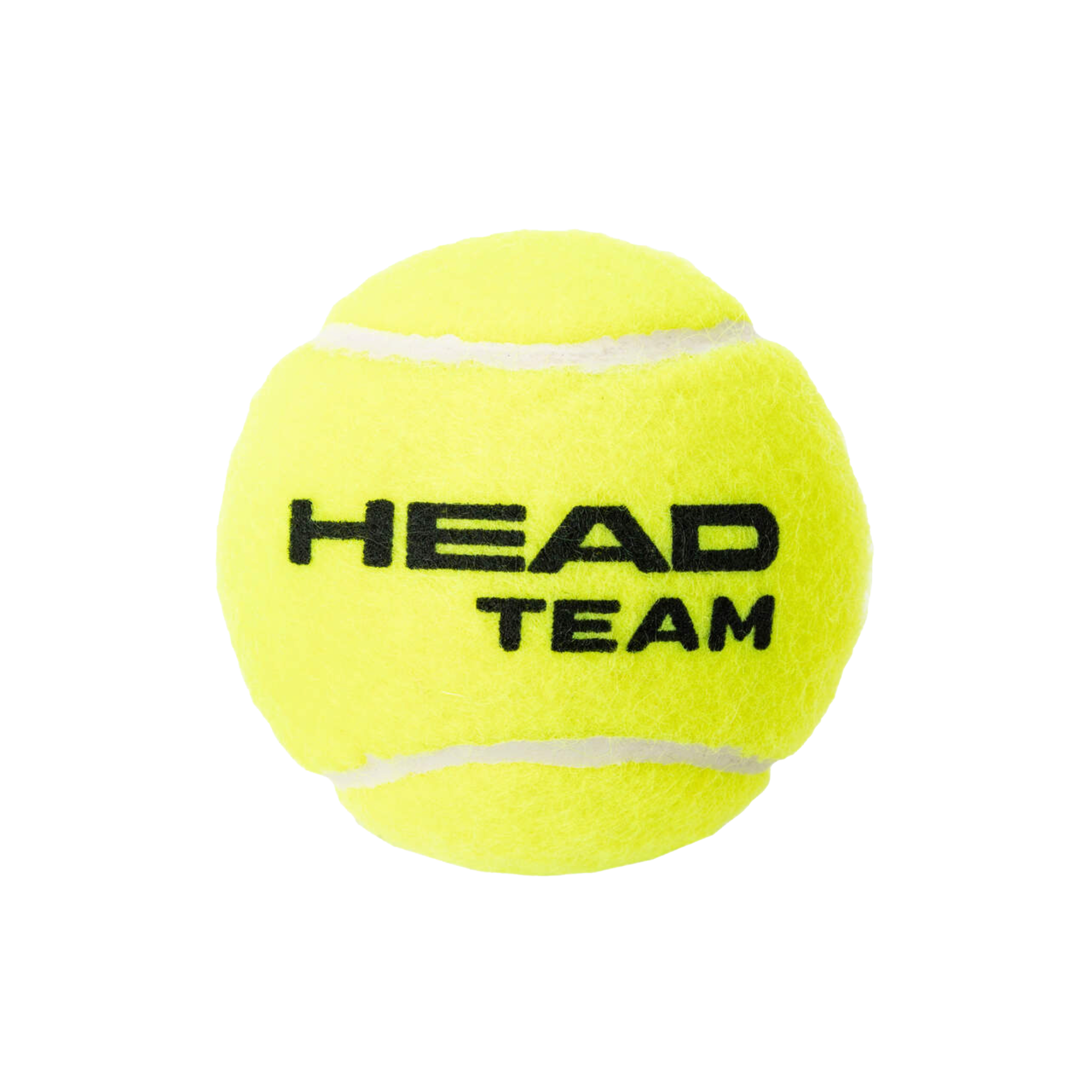 Head Team